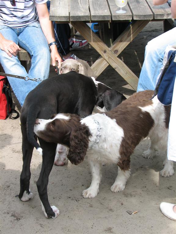 IMG_6072 (Large).jpg